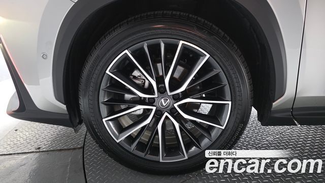 Lexus NX350h (II) Luxury 2025 — фото 5