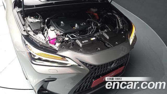 Lexus NX350h (II) Luxury 2025 — фото 6