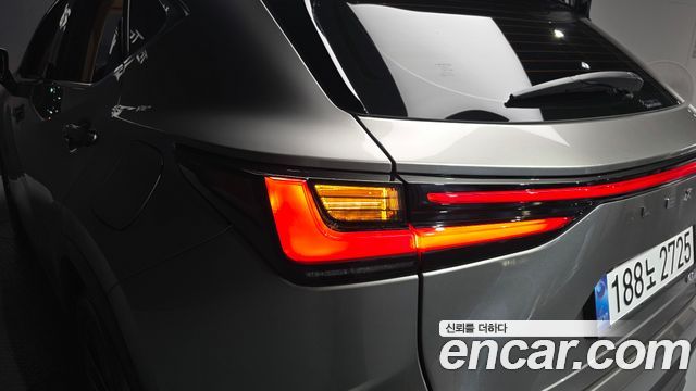Lexus NX350h (II) Luxury 2025 — фото 23