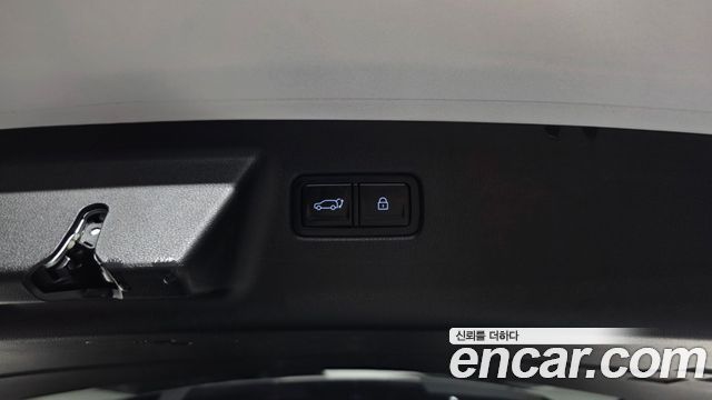 Hyundai Santa Fe (MX5) HEV 1.6 2WD Calligraphy 2024 — фото 33