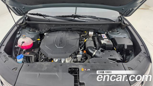 Hyundai Tucson (NX4) Diesel 2.0 2WD Modern 2023 — фото 6