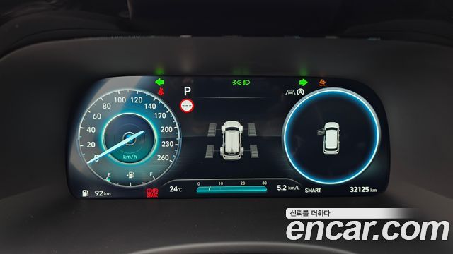 Hyundai Palisade Diesel 2.2 2WD Prestige 2024 — фото 8