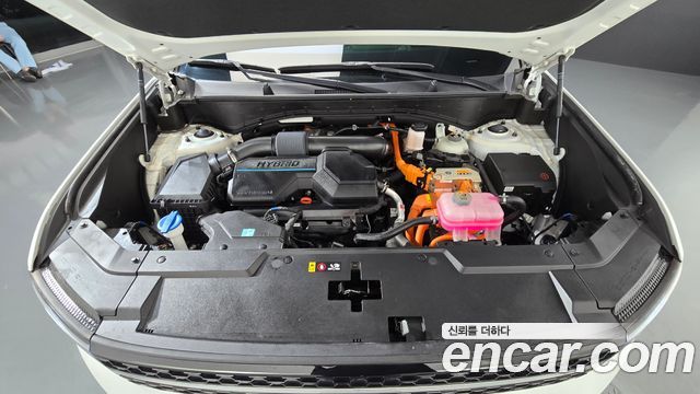 Hyundai Santa Fe (MX5) HEV 1.6 4WD Calligraphy 2024 — фото 6
