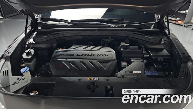 Hyundai Santa Fe (TM) Diesel 2.0 2WD Modern 2019 — фото 6
