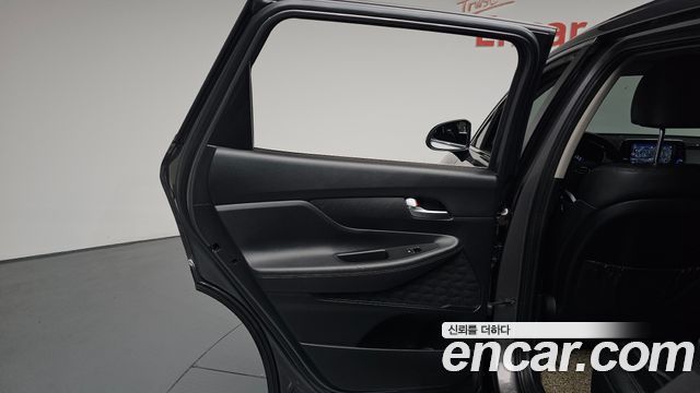 Hyundai Santa Fe (TM) Diesel 2.0 2WD Modern 2019 — фото 25