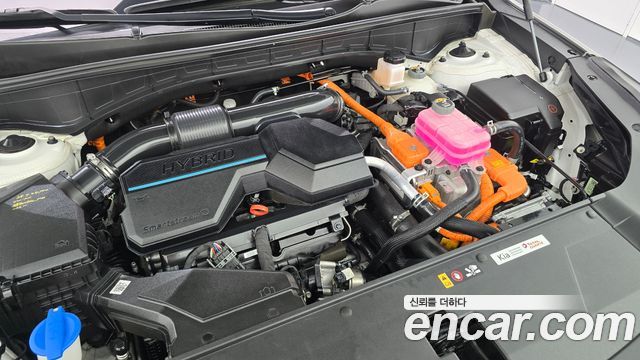 Kia Sorento (IV) HEV 1.6 2WD Noblesse 2024 — фото 6