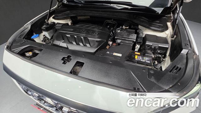 Hyundai Santa Fe (TM) Diesel 2.0 2WD Premium 2020 — фото 6