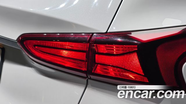 Hyundai Santa Fe (TM) Diesel 2.0 2WD Premium 2020 — фото 23