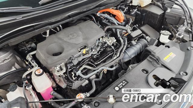 Toyota Sienna (IV) 2.5 Hybrid AWD 2023 — фото 6
