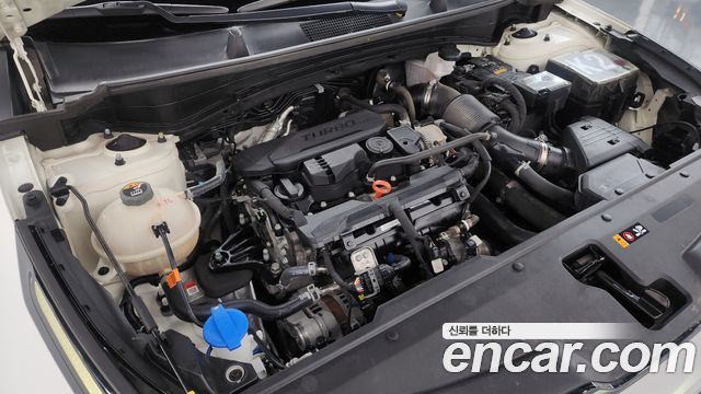 Kia Sportage (V) Gasoline 1.6 Turbo 2WD Signature 2022 — фото 6