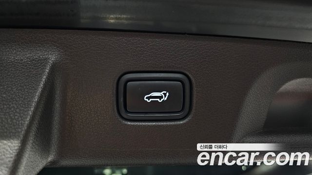 Hyundai Palisade Gasoline 3.8 4WD VIP 2022 — фото 20