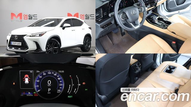 Lexus NX350h (II) Premium 2026 — фото 1