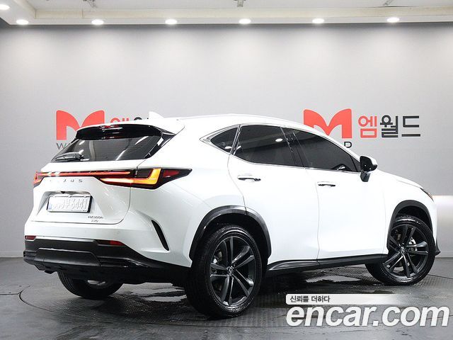 Lexus NX350h (II) Premium 2026 — фото 2