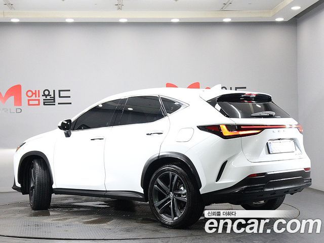 Lexus NX350h (II) Premium 2026 — фото 4