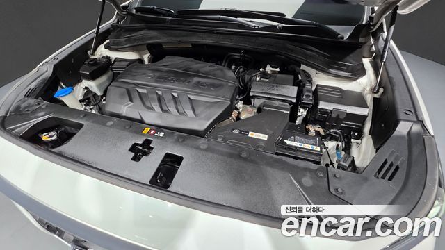 Hyundai Santa Fe (TM) Diesel 2.0 2WD Modern 2019 — фото 6