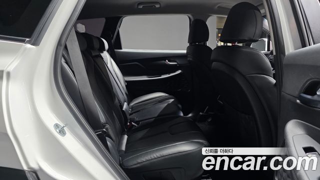 Hyundai Santa Fe (TM) Diesel 2.0 2WD Modern 2019 — фото 11