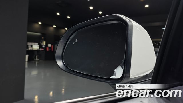 Hyundai Santa Fe (TM) Diesel 2.0 2WD Modern 2019 — фото 13