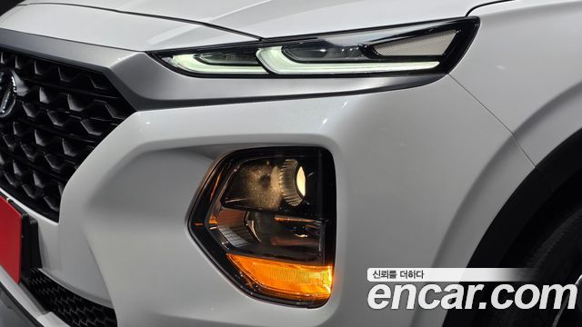 Hyundai Santa Fe (TM) Diesel 2.0 2WD Modern 2019 — фото 22