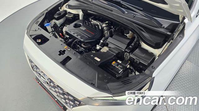 Hyundai Santa Fe (TM) Gasoline 2.0T 2WD Exclusive 2020 — фото 6