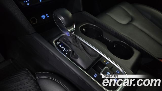 Hyundai Santa Fe (TM) Gasoline 2.0T 2WD Exclusive 2020 — фото 9