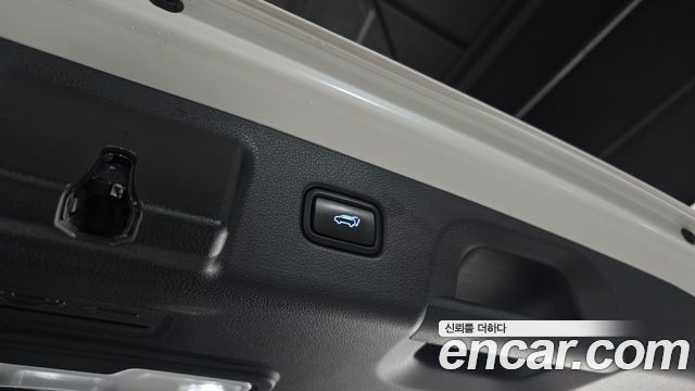 Hyundai Palisade Gasoline 3.8 4WD Prestige 2020 — фото 35