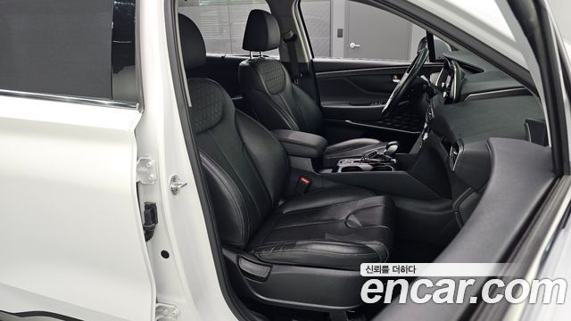 Hyundai Santa Fe (TM) Gasoline 2.0T 2WD Exclusive Special 2019 — фото 12