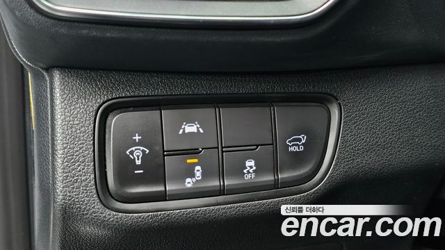 Hyundai Santa Fe (TM) Gasoline 2.0T 2WD Exclusive Special 2019 — фото 13