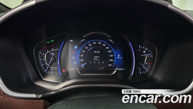 Hyundai Santa Fe (TM) Diesel 2.2 2WD Inspiraition 2019 — фото 8