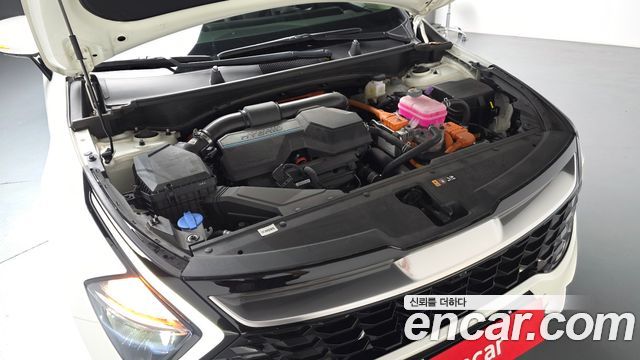 Kia Sportage Hybrid (V) Signature 2WD 2023 — фото 6