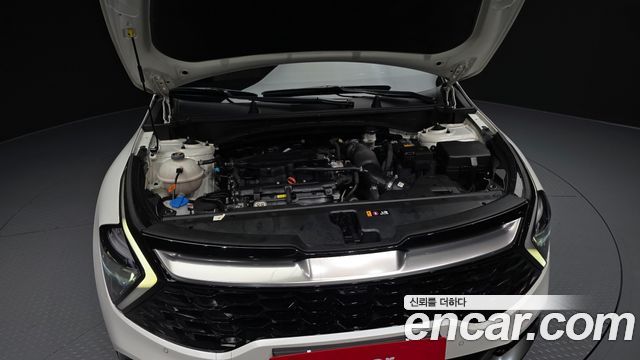 Kia Sportage (V) Gasoline 1.6 Turbo 2WD Signature 2023 — фото 6