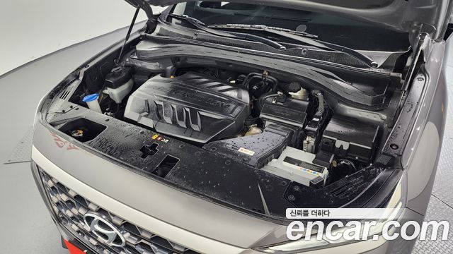 Hyundai Santa Fe (TM) Diesel 2.0 2WD Exclusive Special 2019 — фото 6