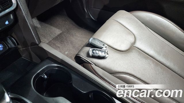 Hyundai Santa Fe (TM) Diesel 2.0 2WD Exclusive Special 2019 — фото 16