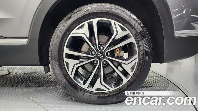 Hyundai Santa Fe (TM) Diesel 2.0 2WD Exclusive Special 2019 — фото 21