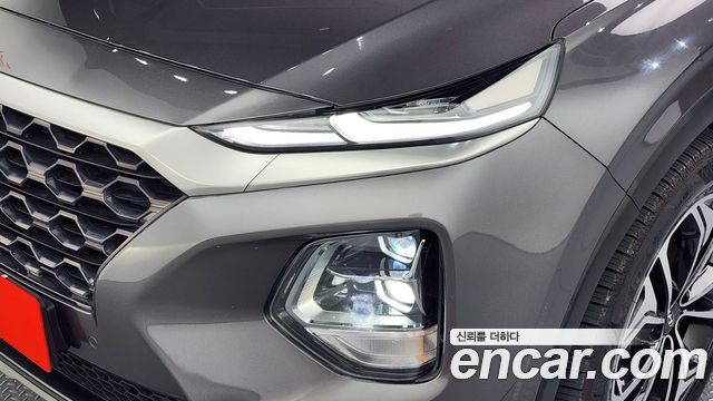 Hyundai Santa Fe (TM) Diesel 2.0 2WD Exclusive Special 2019 — фото 22