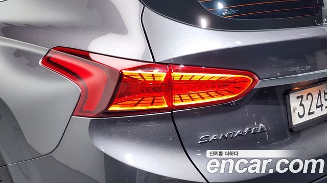 Hyundai Santa Fe (TM) Diesel 2.0 2WD Exclusive Special 2019 — фото 23