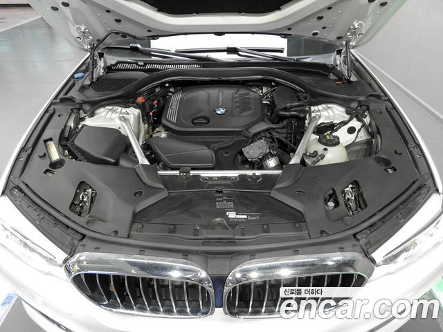 BMW 5 Series (G30) 520d Luxury Plus 2020 — фото 6