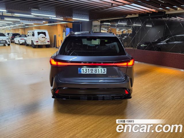 Lexus RX500h (V) F-Sport 2025 — фото 4