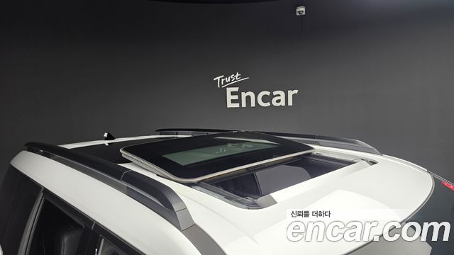 Hyundai Santa Fe (MX5) HEV 1.6 4WD Calligraphy 2025 — фото 46