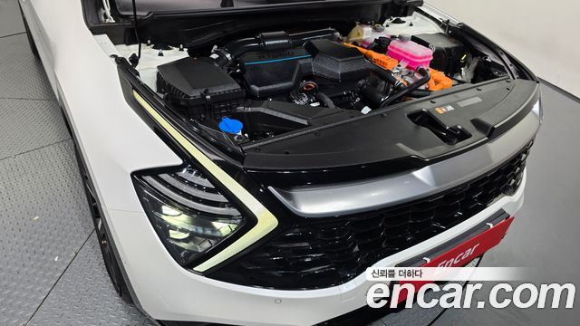 Kia Sportage Hybrid (V) Signature 2WD 2023 — фото 6
