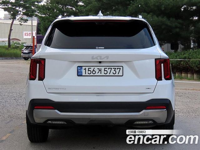 Kia Sorento (IV) HEV 1.6 2WD Signature 2024 — фото 4