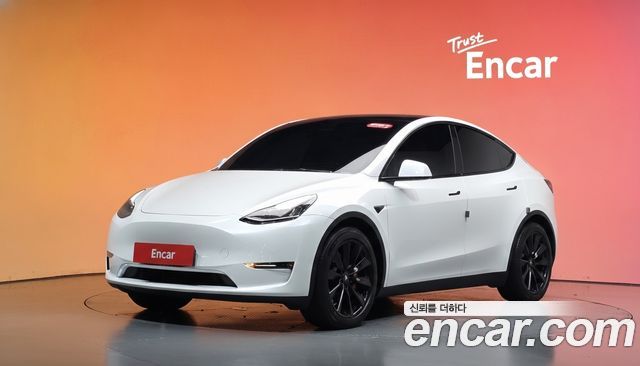 Tesla Model Y Long Range AWD 2021 — фото 1