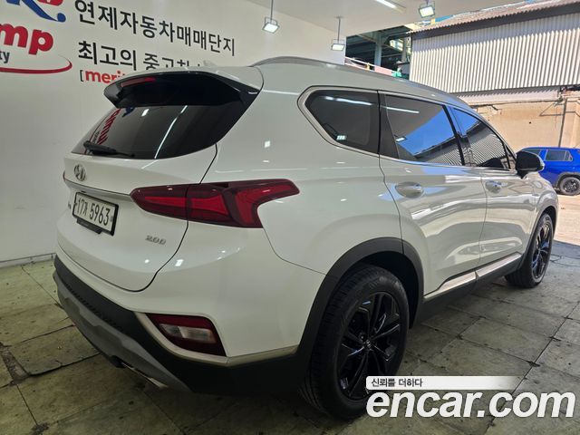 Hyundai Santa Fe (TM) Diesel 2.0 2WD Exclusive Special 2019 — фото 3