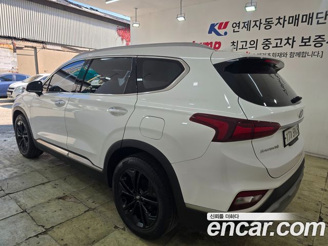 Hyundai Santa Fe (TM) Diesel 2.0 2WD Exclusive Special 2019 — фото 6