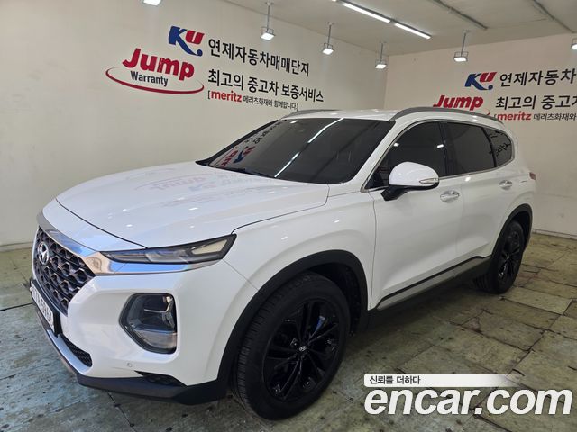 Hyundai Santa Fe (TM) Diesel 2.0 2WD Exclusive Special 2019 — фото 7