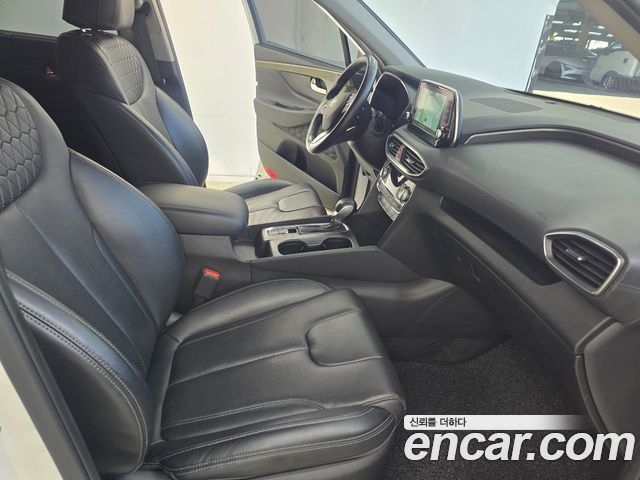Hyundai Santa Fe (TM) Diesel 2.0 2WD Exclusive Special 2019 — фото 10