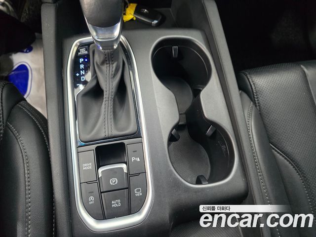Hyundai Santa Fe (TM) Diesel 2.0 2WD Exclusive Special 2019 — фото 17