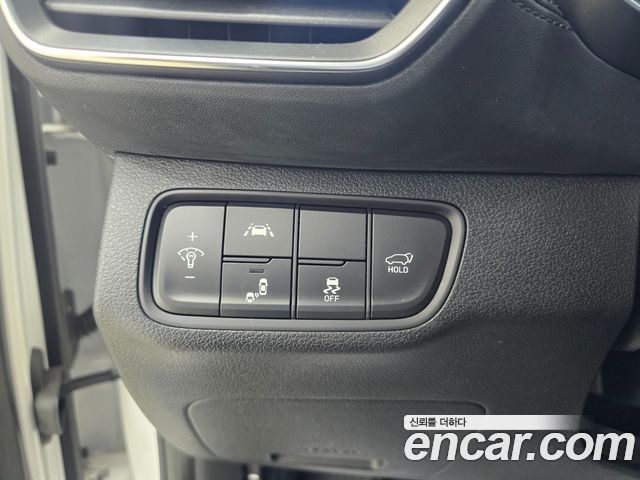 Hyundai Santa Fe (TM) Diesel 2.0 2WD Exclusive Special 2019 — фото 18