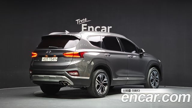 Hyundai Santa Fe (TM) Diesel 2.0 2WD Exclusive Special 2019 — фото 2