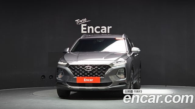Hyundai Santa Fe (TM) Diesel 2.0 2WD Exclusive Special 2019 — фото 3
