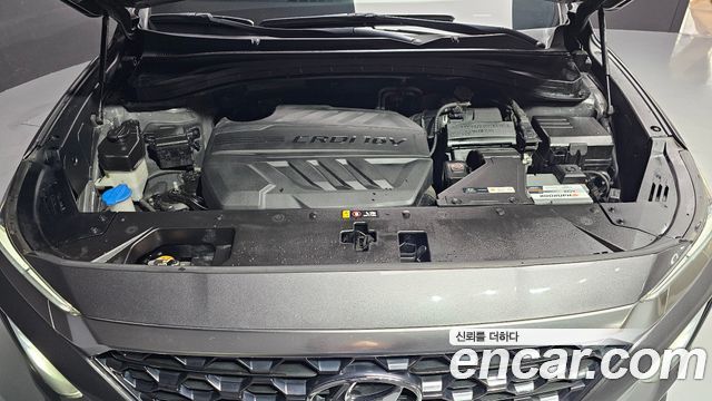 Hyundai Santa Fe (TM) Diesel 2.0 2WD Exclusive Special 2019 — фото 6